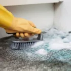 Business 10 image CITY CARPET CLEANING NORTH SYDNEY Carpet Furniture & Upholstery Cleaning in North Sydney NSW