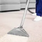 Business 11 image CITY CARPET CLEANING NORTH SYDNEY Carpet Furniture & Upholstery Cleaning in North Sydney NSW