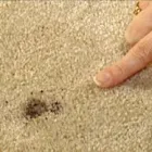 Business 1 image CLEAN MASTER BRISBANE - CARPET REPAIR BRISBANE Home Cleaning in Brisbane QLD