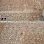 Business 2 image CLEAN MASTER BRISBANE - CARPET REPAIR BRISBANE Home Cleaning in Brisbane QLD