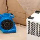 Business 3 image CLEAN MASTER BRISBANE - FLOOD DAMAGE RESTORATION BRISBANE Home Cleaning in Brisbane QLD