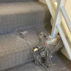 Business 3 image CLEAN MASTER CARPET REPAIR PERTH Carpet Repair in Perth WA