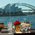 Business 3 image CLEARVIEW GLASS BOAT CRUISES Restaurants in Sydney NSW