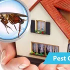 Business 3 image COCKROACH PEST CONTROL ADELAIDE Pest Inspection in Adelaide SA