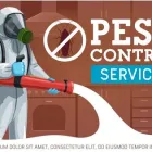 Business 4 image COCKROACH PEST CONTROL ADELAIDE Pest Inspection in Adelaide SA