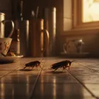 Business 2 image COCKROACH PEST CONTROL SYDNEY Pest Control Companies in Sydney NSW