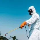 Business 1 image COCKROACH PEST CONTROL SYDNEY Pest Control in Sydney NSW