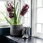 Business 2 image COMODA DESIGN & RENOVATION Home Improvements in Hawthorne QLD