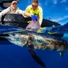 Business 1 image COMPLEAT ANGLER & CAMPING OUTDOORS GREGORY HILLS & HOBIE KAYAKS Outdoor Furniture in Gregory Hills NSW