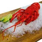 Business 2 image COMPLETE FOOD SERVICES ADELAIDE Wholesale Food Suppliers in Newton SA