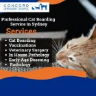 Business 2 image CONCORD VETERINARY HOSPITAL Veterinary Laboratories in North Strathfield NSW