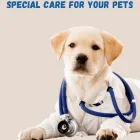 Business 3 image CONCORD VETERINARY HOSPITAL Veterinary Laboratories in North Strathfield NSW