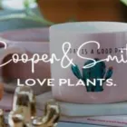 Business 1 image COOPER&SMITH Gardeners in Sydney NSW