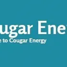 Business 1 image COUGAR ENERGY Home Improvement in North Sydney NSW
