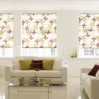 Business 4 image COUNTRY BLINDS Home Improvements in Fulham SA