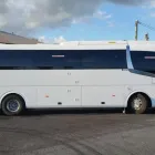Business 2 image CROCODILE COACHES Wedding Cars in Cairns QLD