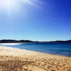 Business 89 image CROWNE PLAZA TERRIGAL PACIFIC, AN IHG HOTEL Wedding Venue in Terrigal NSW