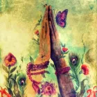 Business 2 image DAGMAR 3YOGA & AYURVEDA Yoga in Cairns QLD