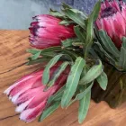 Business 2 image DANE CRAFT MODERN FURNITURE CO. Furniture Stores & Shops in Brisbane QLD