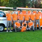 Business 3 image DAVID JONES ELECTRICIANS - CRONULLA Electricians & Electrical Contractors in Cronulla NSW