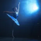 Business 20 image DEAN AGAR PHOTOGRAPHY Photographers in Bulimba QLD