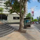 Business 1 image DENTIQUE DENTAL SOLUTIONS Dentist in North Sydney NSW