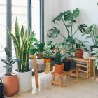 Business 2 image DESIGNER POTS Pots--Garden in Melbourne VIC