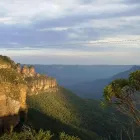 Business 3 image DINGO TRAVEL Tourist Attractions & Information in Sydney NSW