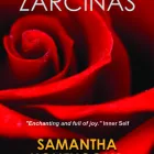 Business 1 image DOCTORZED PUBLISHING Write Business Coaching & Mentorship in Adelaide SA