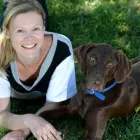 Business 2 image DOGSHARE - DOG ADOPTION & CARE SERVICE Reciprocal Dog Walking in Thornbury VIC