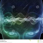 Business 3 image DR KATIE RICHARD Psychology in Cairns QLD