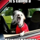 Business 1 image DRIVESAFE CAIRNS - DEFENSIVE DRIVING COURSES Driving Lessons & Schools in Cairns QLD