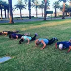 Business 1 image ELEMENTS FITNESS GROUP Weight Training in Perth WA