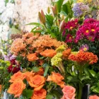 Business 5 image EMPORIO HOME & FLOWERS Gift Shop in Manly NSW