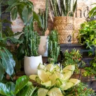 Business 6 image EMPORIO HOME & FLOWERS Gift Shop in Manly NSW