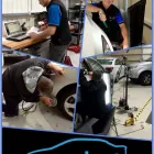 Business 20 image ERASADENT shopping trolley dent in Keswick SA