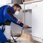 Business 2 image FAST PEST CONTROL ADELAIDE Pest Management in Adelaide SA