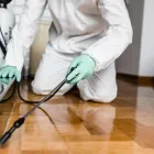 Business 10 image FAST PEST CONTROL ADELAIDE Pest Management in Adelaide SA