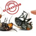 Business 1 image FAST PEST CONTROL Pest Control in Brisbane QLD