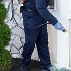 Business 1 image FEMALE CHOICE PEST CONTROL Pest Inspection in Brisbane QLD