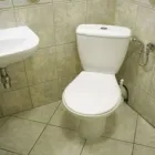 Business 2 image FEMALE CHOICE PLUMBING Toilets and Cistern in Adelaide SA