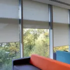 Business 4 image FEMALE CHOICE ROLLER BLINDS INSTALLATION Blinds in Melbourne VIC