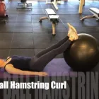 Business 6 image FIT EDUCATION Health & Fitness - Centres & Services in Chelmer QLD