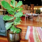 Business 2 image FLARECOM DIGITAL MARKETING SEO Consultants Sydney in Newtown NSW