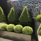 Business 4 image FLAVIO OUTDOOR LIVING SOLUTIONS Home Improvements in Greenacres SA
