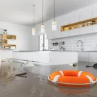 Business 1 image FLOOD DAMAGE RESTORATION INDOOROOPILLY Water Damage Restoration in Indooroopilly QLD