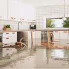 Business 1 image FLOOD DAMAGE RESTORATION RANDWICK Flood Damage Restoration in Randwick NSW