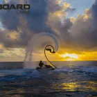 Business 3 image FLYBOARD CAIRNS Tours in Cairns QLD