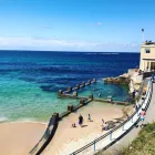 Business 13 image FNKY MNKY COOGEE BEACH Restaurants in Sydney NSW