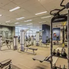 Business 2 image FRASER SUITES SYDNEY serviced accommodation sydney in Sydney NSW